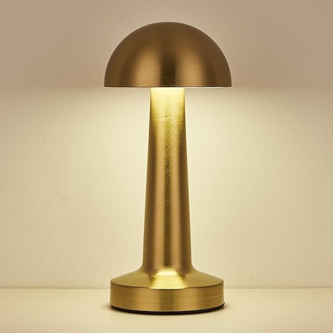 61cEdmOpcRL._AC_SX679_